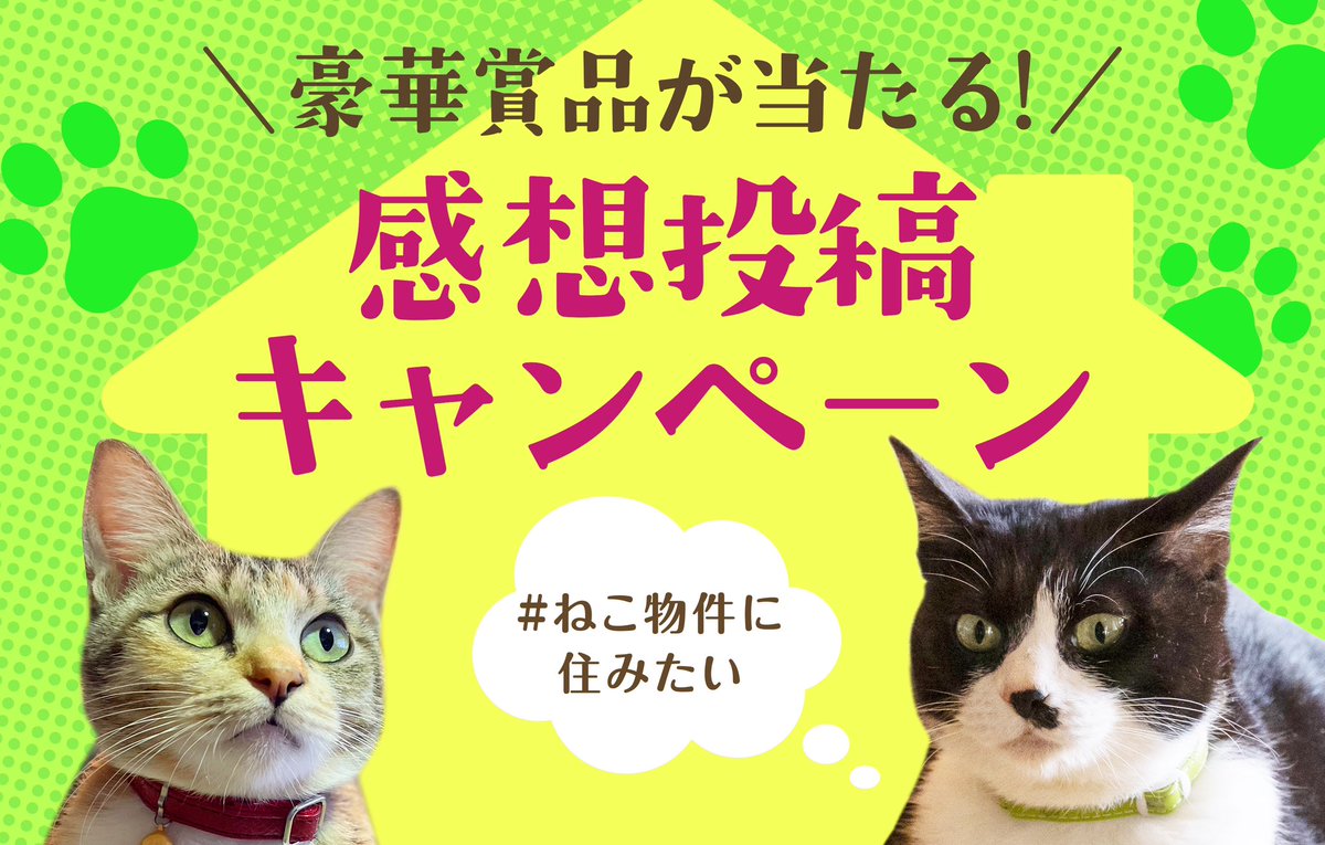 鳥取の皆様お待たせいたしました🙌🏻
本日より #MOVIX日吉津 にて
『劇場版 #ねこ物件』上映開始です🎬⭐️

豪華賞品が当たる🎁❕
感想投稿キャンペーンは
🔔𝟿月𝟸 𝟻日(日)まで🔔

お早めにご応募くださいね☺️

🔽詳細
neko-bukken-movie.com/news/2022/08/0…