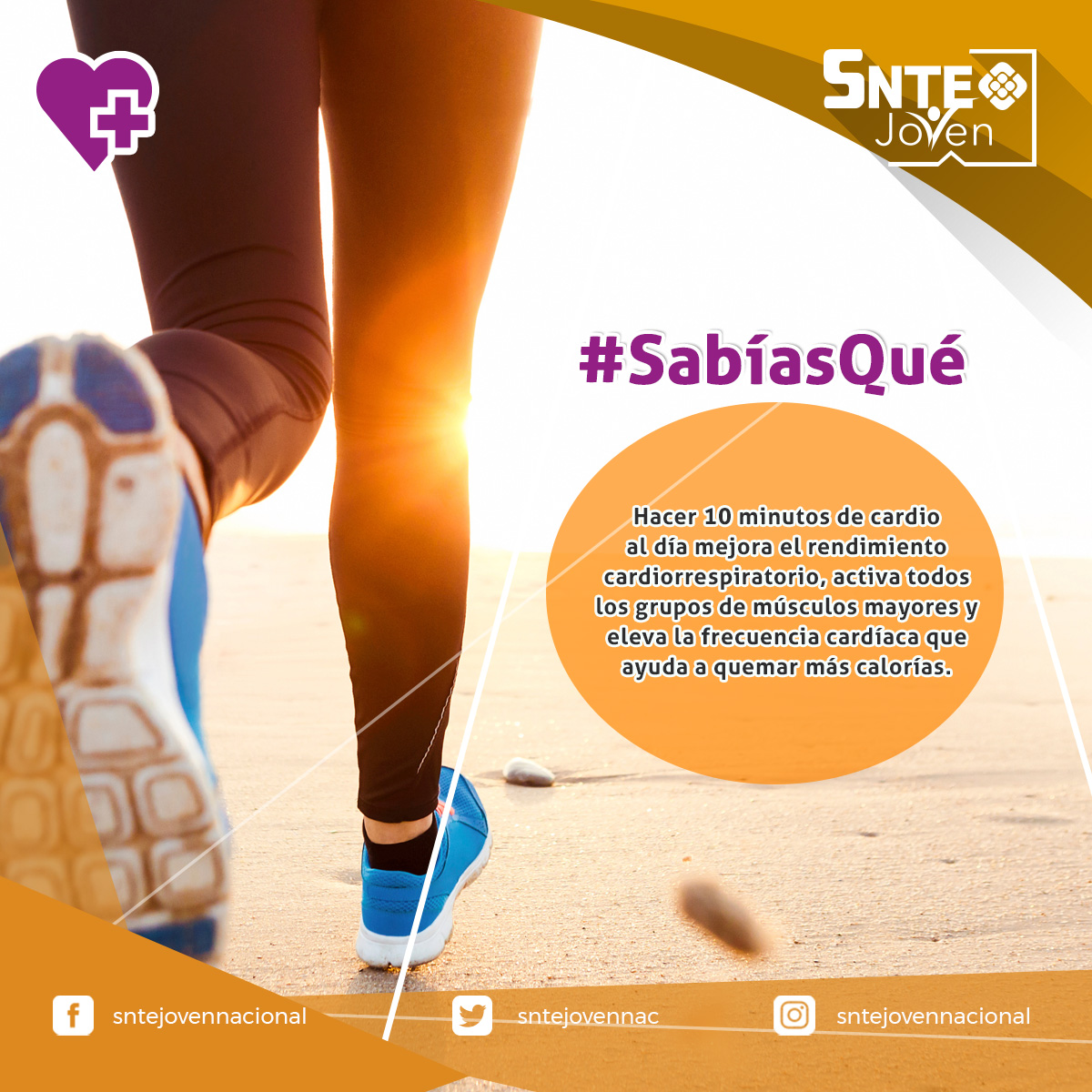 sntejovennac's tweet photo. ✅ #SNTEJovenPorLaSalud🌎
Hacer un poco de ejercicio al día te traerá muchos beneficios. 🏃🏻‍♀️ https://t.co/seeEQQBzZM