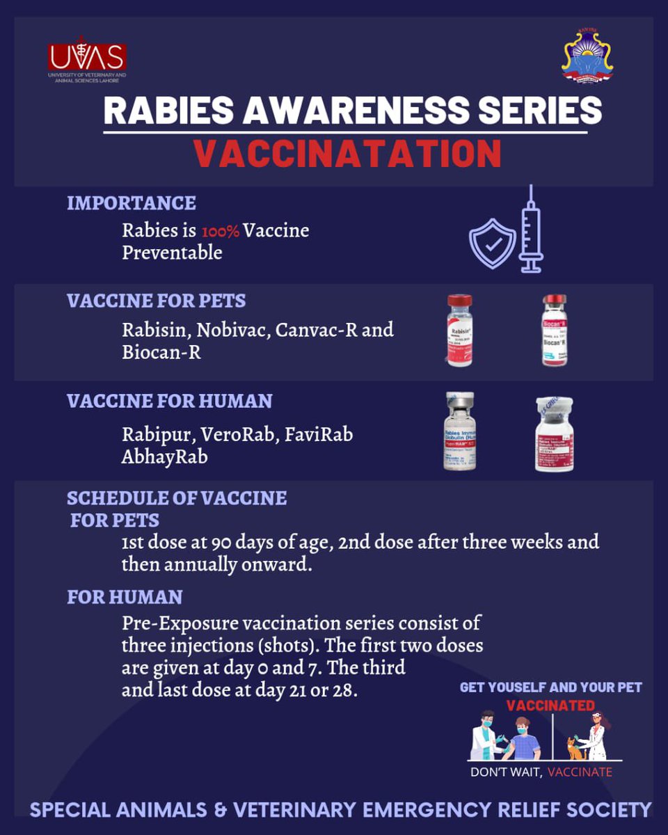 savers_uvas's tweet photo. SAVERS is emphasizing a deadly zoonotic disease Rabies. And the only prevention from this disease is vaccination of both human and animals.
Team 𝗦𝗔𝗩𝗘𝗥𝗦  is going to aware public about vaccines available in market and vaccine schedule for both humans and their animals. https://t.co/xr3QJ84jlb