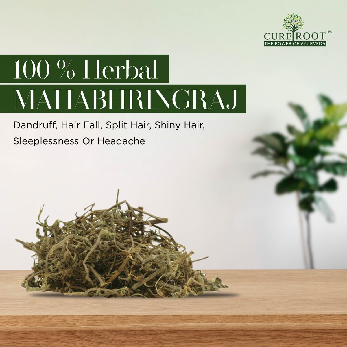 In Ayurveda, an Indian tradition that aims to balance and heal the body through nutrition, mahabhringraj is said to promote hair growth, strengthen hair, and prevent graying and dandruff.

#Bhringraj #BhringrajBenefits #MahaBhringraj #PromoteHair #PromoteHairGrowth  #CureRoot