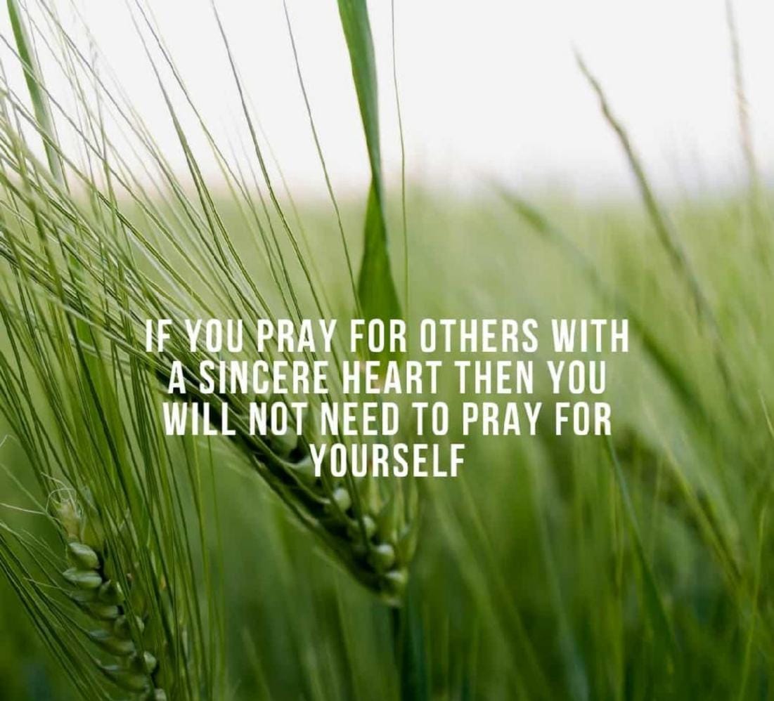 ' If you #Pray for others with a sincere #Heart 🫀then you will not need to pray for yourself. ' 

Have a wonderful day ♥️ 🙏 
@anbreenanjum @IrshadCh_ @miraj_bhat @ErGulzar_ @aryqam @BotJammu @islahmufti @Manzoor92593006 @sahaafi @ShahtTar08