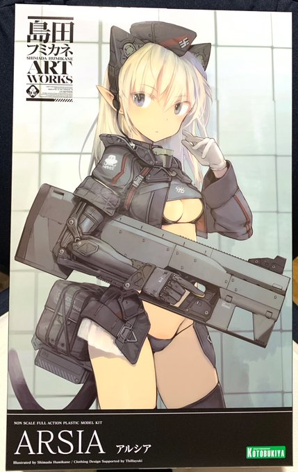 ブキヤからアルシア着弾。箱の大きさ的にはフレガくらいかな。 