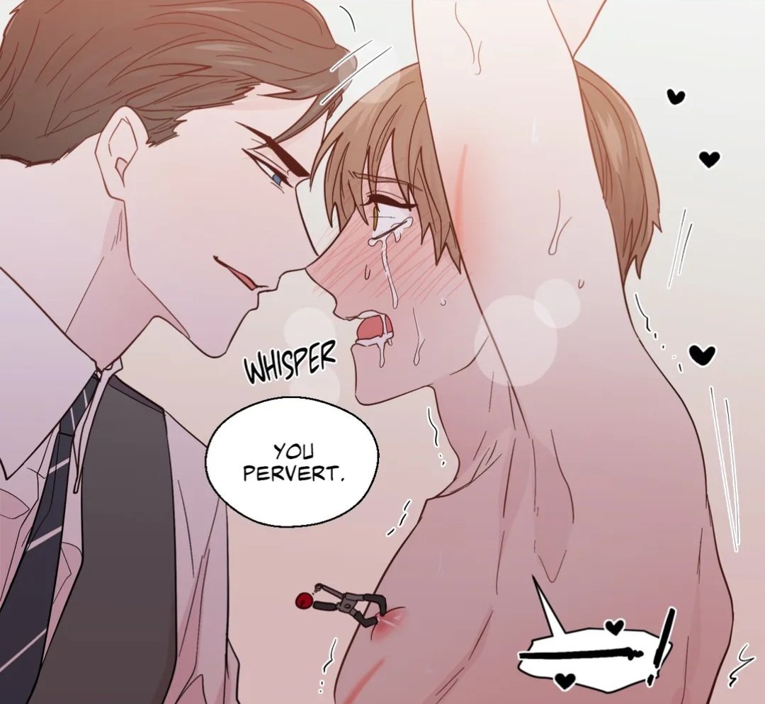 jay 🐳 tweet media