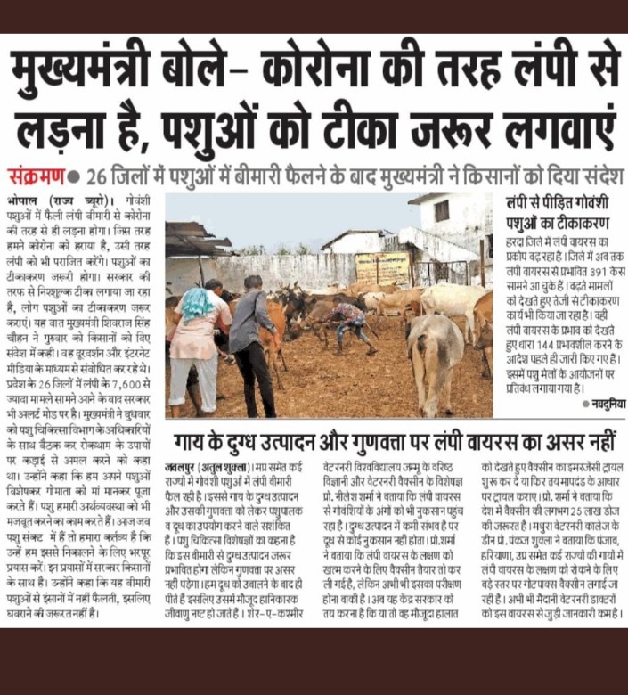 iam_Manoj_patel's tweet photo. हमारी माता को बचाना है प्रदेश में लंपि जेसे वायरस को हराना है  पीड़ित गोवंशी पशुओं को टीका जरूरी लगाए।
🚩 जय गौ माता 🚩 @BJP4India     @ChouhanShivraj 
@JansamparkMP 

 #BJPMP https://t.co/gQOxYzxt77