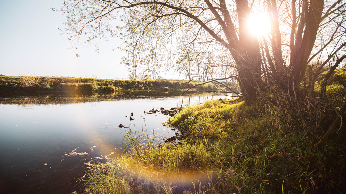 GELSENWASSER_AG's tweet photo. Zum #TagderFlüsse bzw. #WorldRiverDay schauen wir auf die Bedeutung der #Stever für die #Trinkwasserversorgung im #Ruhrgebiet & #Müsterland: https://t.co/YjytEPRwzT #teamblaugrün wünscht einen schönen Freitag! https://t.co/L2RR7yRHxl