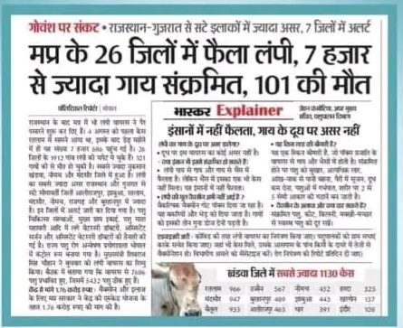 SangeetRathour's tweet photo. पशु चिकित्सकों के 2675  पद रिक्त, नहीं हुई 5   
वर्षों में भर्ती।
परिणाम-  हजारों गौ माता मर रही हैं।
 @ChouhanShivraj @OfficeofSSC @digvijaya_28 @MadhyaStudent @drnarottammisra @mp_husbandry https://t.co/LJ7PXaYOlD