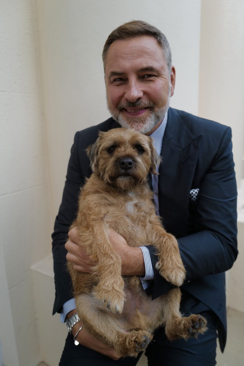 David Walliams HQ tweet media