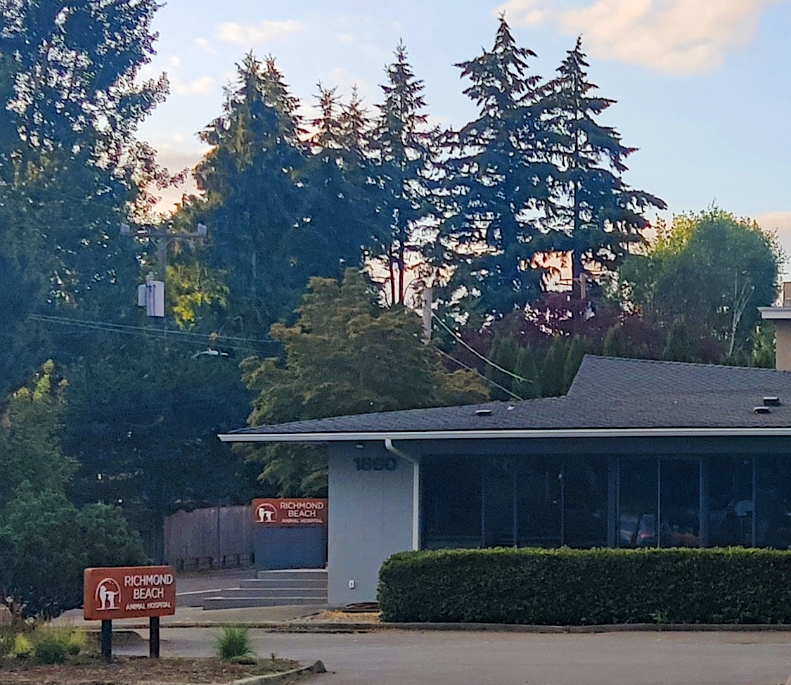 Shorelinearea's tweet photo. New veterinary clinic opens in Richmond Beach - Grand Opening event Saturday
https://t.co/MQoJ4gRmuO https://t.co/nS97OSoH8o