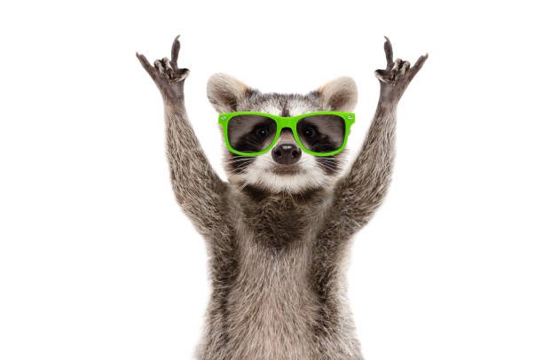 Kwekkeboom_R's tweet photo. Weken vliegen voorbij! Op weer naar een mooi weekend 🤘☕️🍀☕️👊☕️👍☕️❤️☕️ #vrijdag #allmostweekend https://t.co/zLjLAlazjy