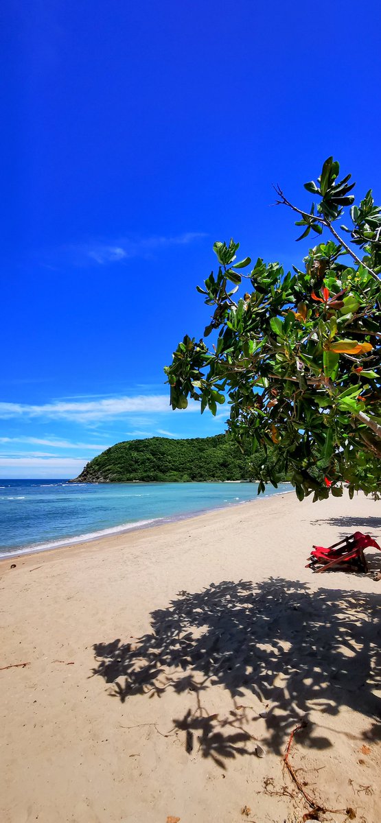 Björn Puls✨ tweet media