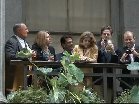 <a href="/unusual_whales/">unusual_whales</a> The #elite are no longer afraid to speak things they think out loud. The #elite are mocking the average American. Don't forget #2008financialcrisis #wallstreetownscongress and #KenGriffinLiedUnderOath while lawmakers sat idly by and did nothing. #ape #amc 🔥 it to the ground! 🖕