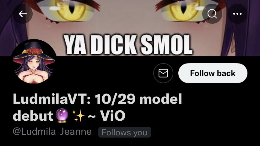 MomoMochiVT's tweet photo. Got a notification to see this gem following me…but I see their banner and now I feel personally attacked 😭😭
@Ludmila_Jeanne 
#VtubersEN #VTuberUprising #vtubercommissions #VTuber #Vroid #VCarePackage https://t.co/jFkGlLjXIE