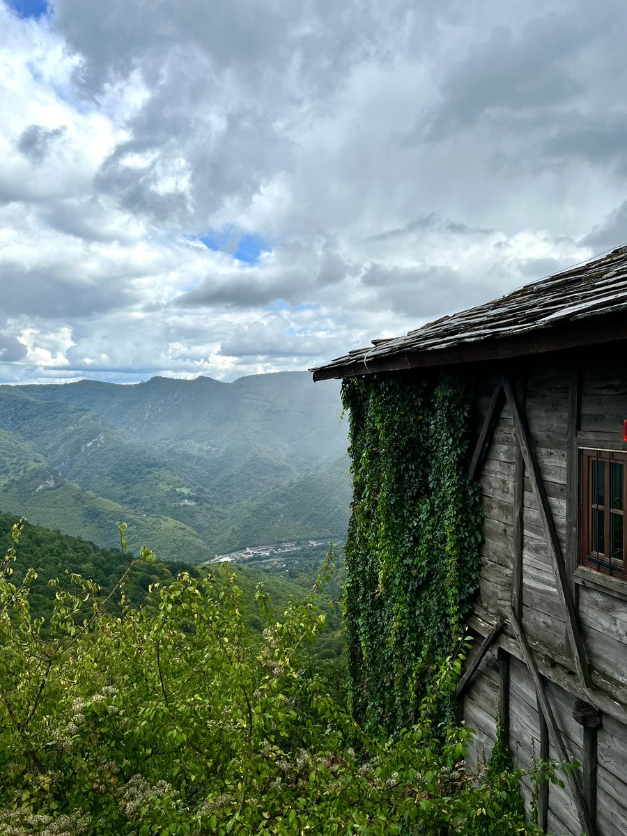 краСивият Кардинал tweet media