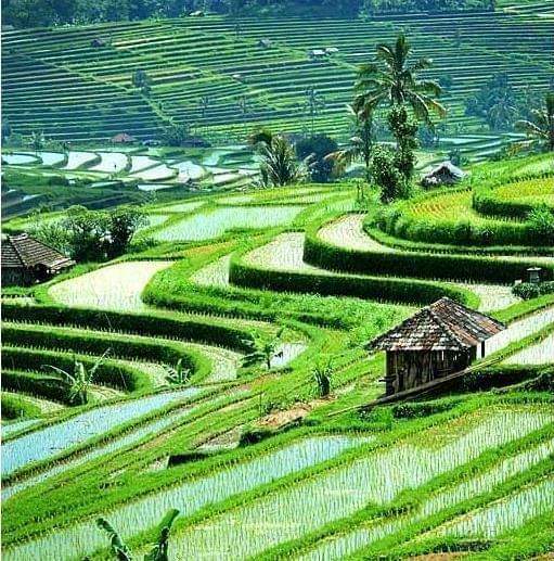 anggabanggetsz's tweet photo. @halimiskandarnu Pada Dasarnya Data Akurat Harus Otentik Dengan Keadaan Sebenarnya Dari Desa, maka dari itu Percayakan Pada Desa Dampingan kita. https://t.co/tCpUWpjhdu