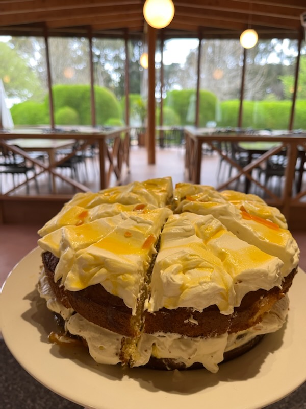 Ashcombe Maze tweet media