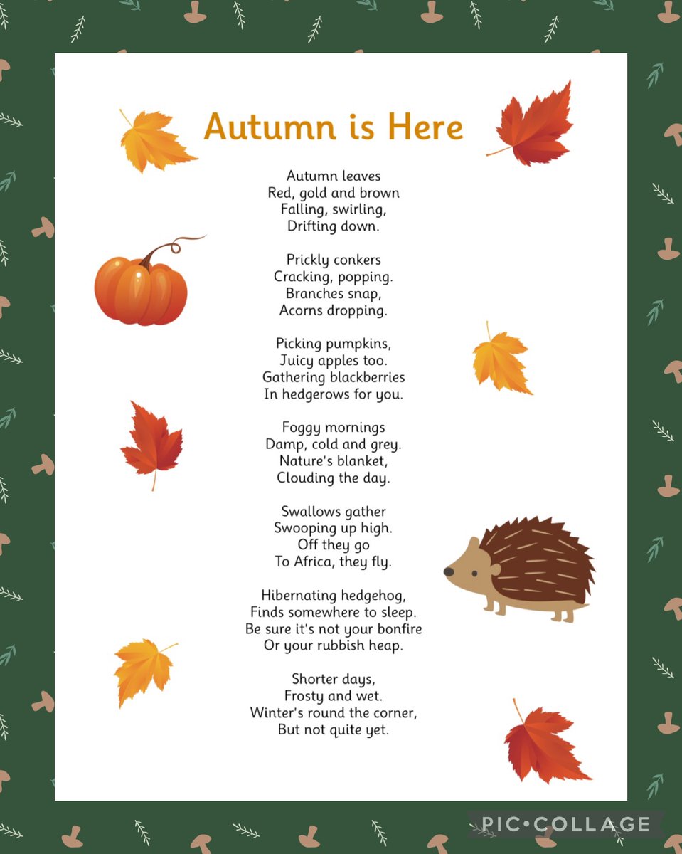 RTforestschool tweet media