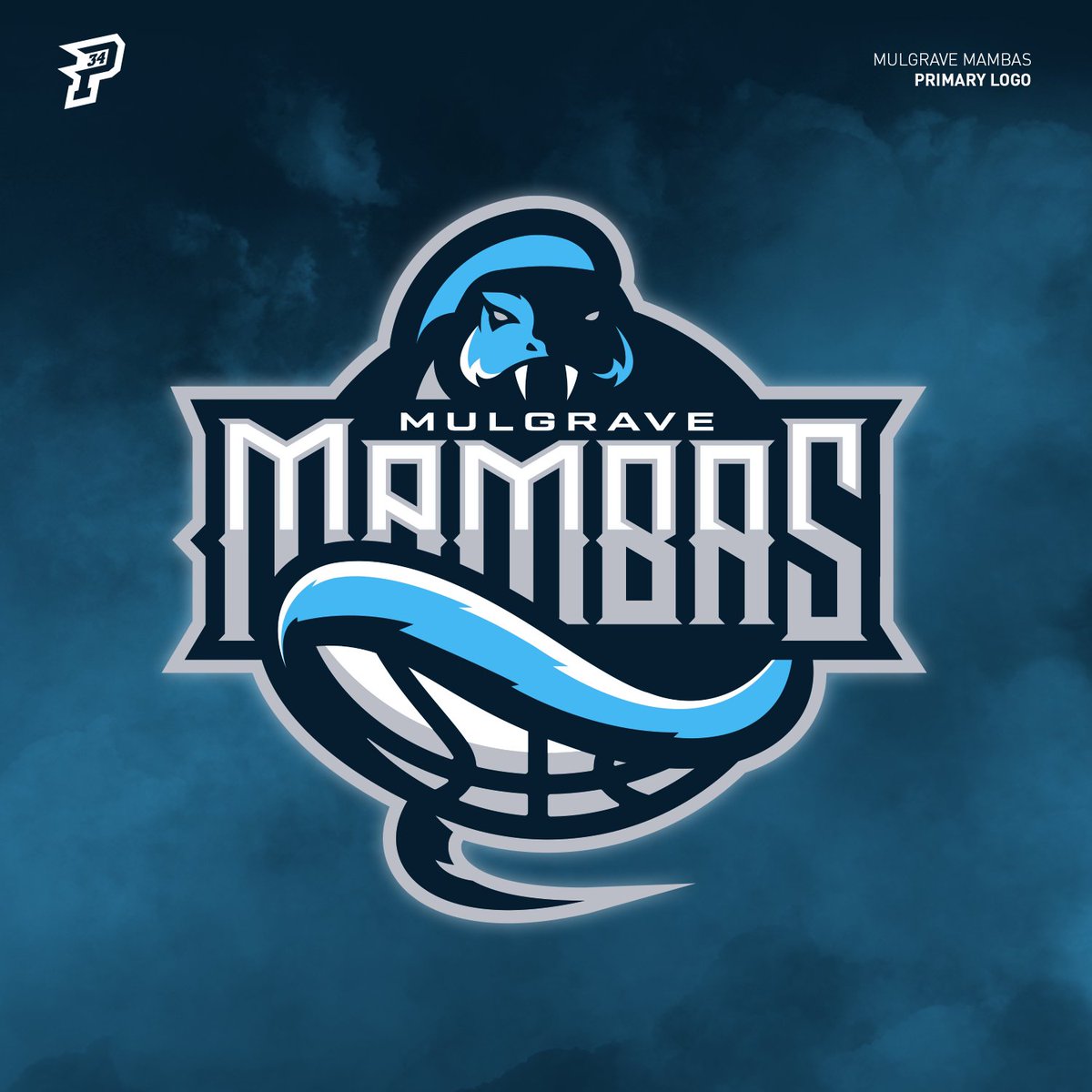 Proj34's tweet photo. Always excited to work on a new team, even for primary school kids. Introducing the Mulgrave Mambas 🐍🏀🎨 https://t.co/B0POANHYPo