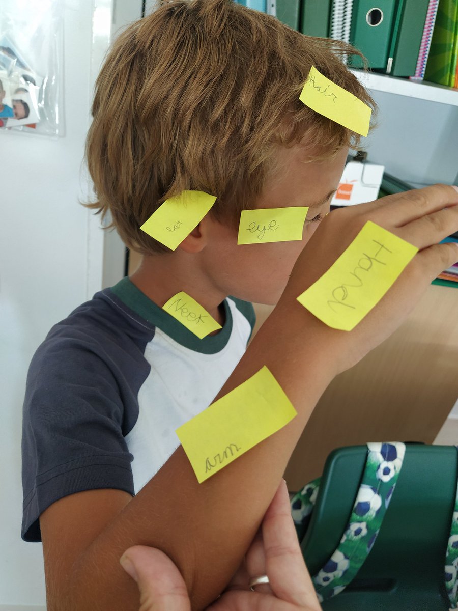 IreCastilloHBS's tweet photo. Label a friend! Super fun activity to review the body parts in Science workshop! @HBSTORREJON #segundoEP https://t.co/N4HwQqE85C