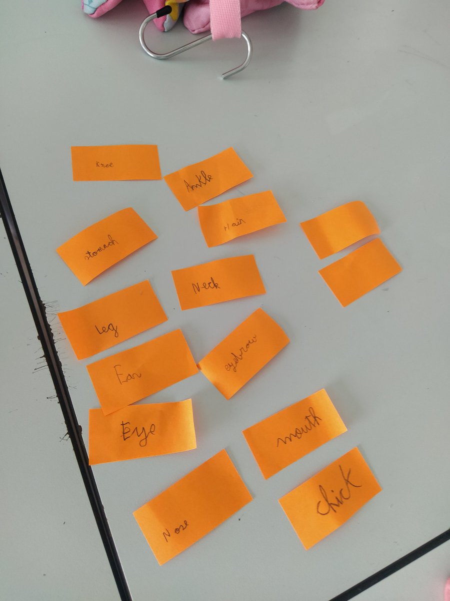 IreCastilloHBS's tweet photo. Label a friend! Super fun activity to review the body parts in Science workshop! @HBSTORREJON #segundoEP https://t.co/N4HwQqE85C