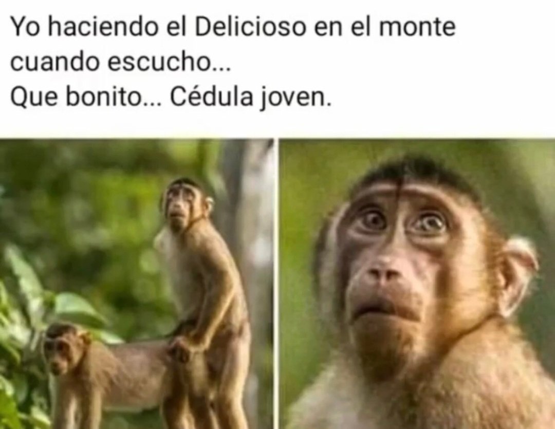 Andrs_scott's tweet image. Jajaja 😂 😂