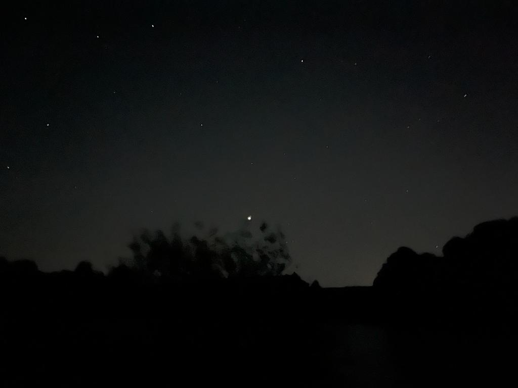 You can't see the surprise swan or the escaped calf in this pic, so we'll focus on how beautiful the stars were for last night's chilly swim.