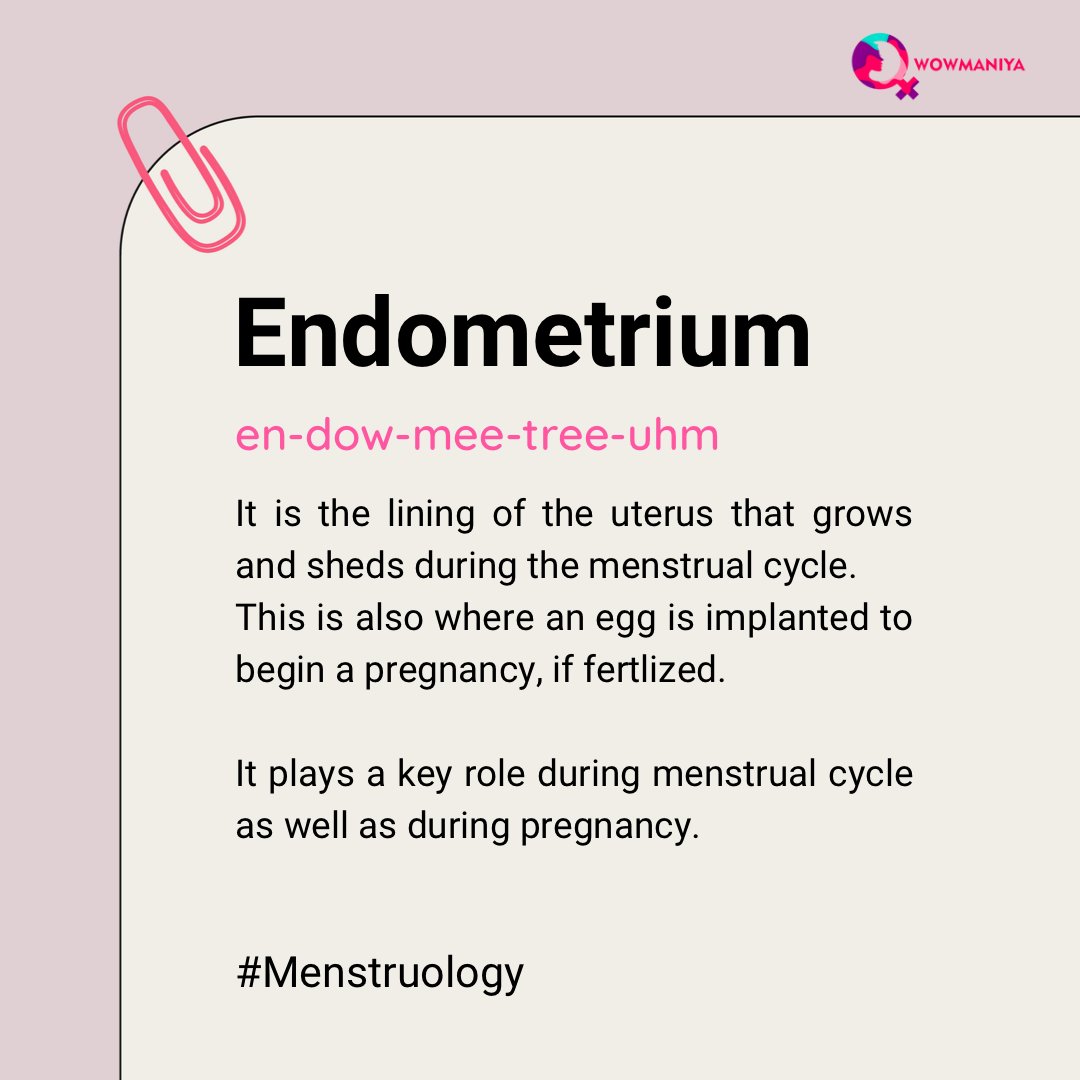 wowmaniya's tweet photo. Word of the day! 

#menstrupedia #menstruology #perioddictionary #endometrium #women #wowmaniya #fridaymorning https://t.co/5B2dAazq7k