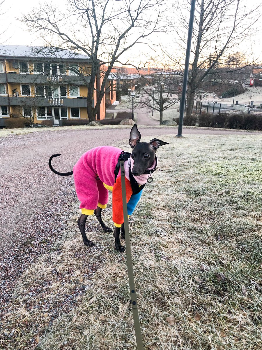 Dr Cathryn Klasto 句_句 tweet media