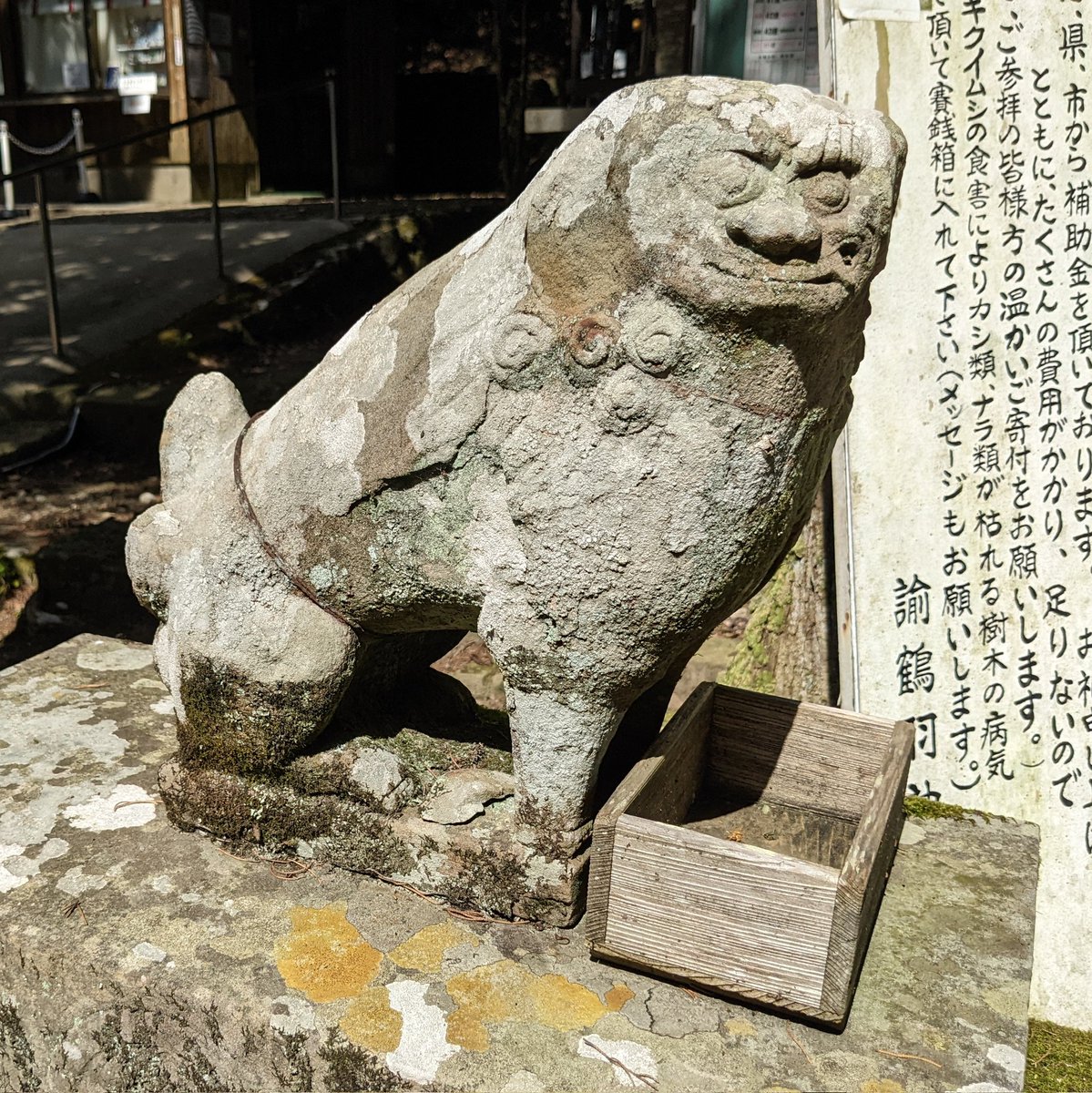 tsumujisha's tweet photo. 南あわじ市 諭鶴羽神社の古い方の獅子狛犬像。
ぷっくりかわいい。
背後の造形も独特でおもしろい。
（カブで上田池方面から上がったら未舗装路にへこたれた。品行方正なライダー諸氏は灘方面から上がるのが正解と思う） https://t.co/k9UUlj9PdU