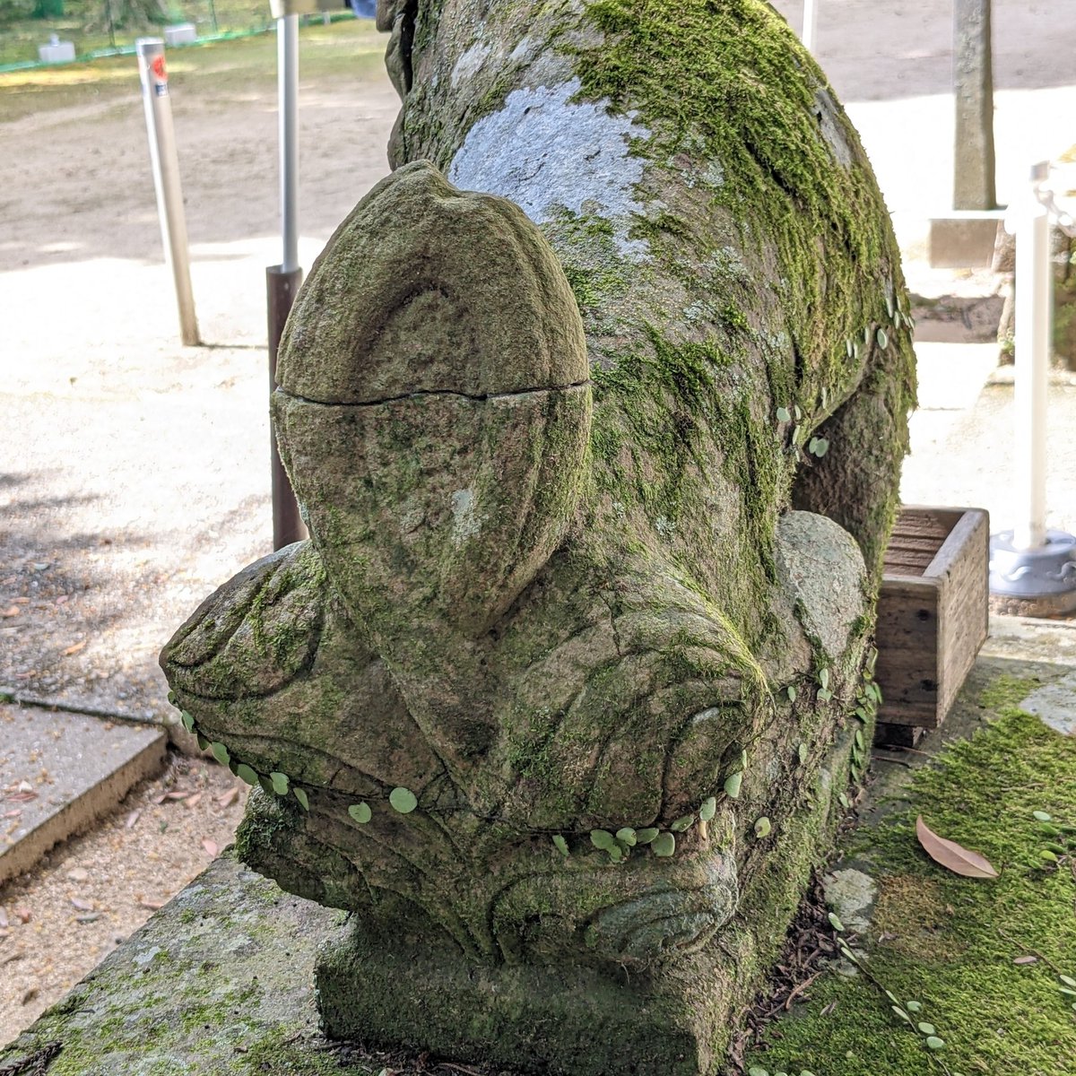 tsumujisha's tweet photo. 南あわじ市 諭鶴羽神社の古い方の獅子狛犬像。
ぷっくりかわいい。
背後の造形も独特でおもしろい。
（カブで上田池方面から上がったら未舗装路にへこたれた。品行方正なライダー諸氏は灘方面から上がるのが正解と思う） https://t.co/k9UUlj9PdU