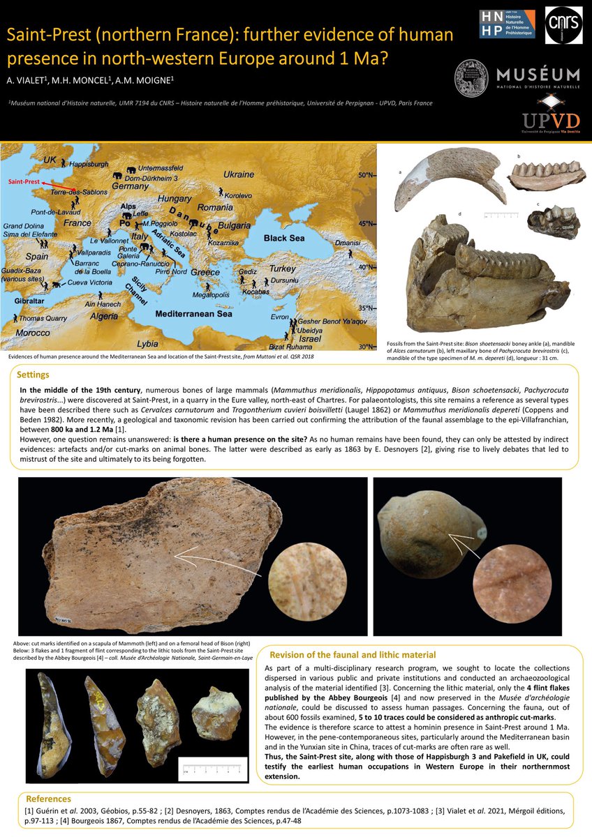 Going to the north around 1Ma at #ESHE2022 poster session: (re)discover the #SaintPrest site with M. meridionalis, Pachycrocuta and…humans? @MNHN_recherche @CNRS_Paris @VilledeChartres