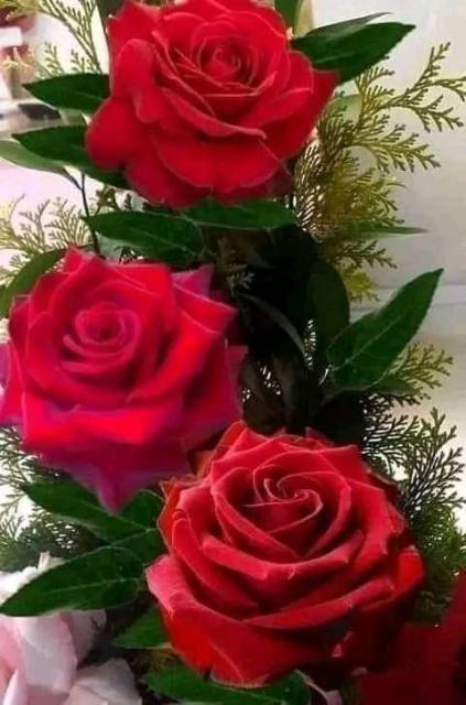 mircea_bejan's tweet photo. https://t.co/3ICLsCkBK0