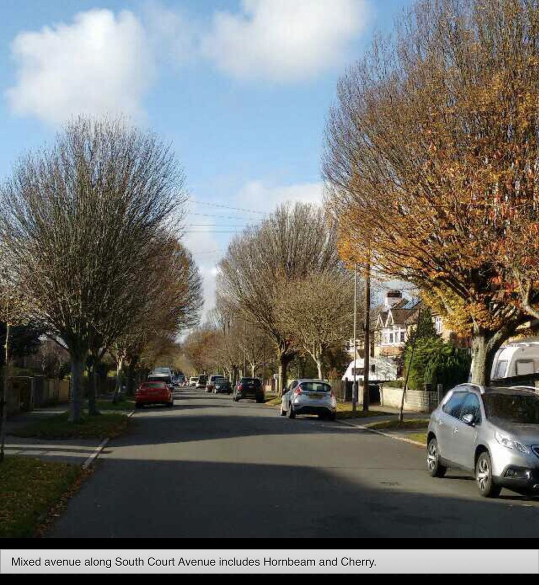 TiCLme's tweet photo. In the promotion of towns …
Have you explored every avenue?
@VisitBritain @BritishBIDs @ATCMUK @habsandheritage @HeritageFundUK @Team4Nature
https://t.co/oSNLBJIhxj
#TreeTourism #VisitingTrees #treetrail @TiCLme https://t.co/p7YQ8A86tj