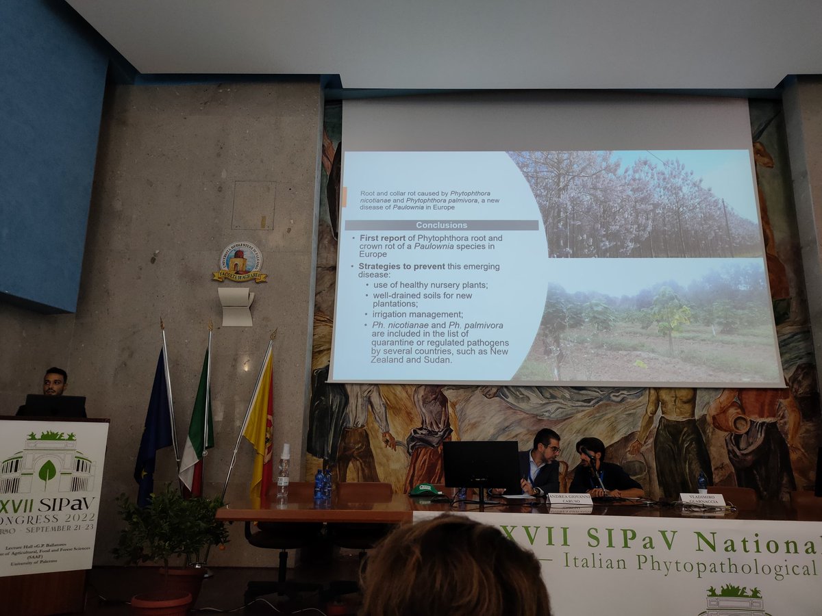 JoanaGVicente's tweet photo. Day 2 in the morning included a session with 11 talks on Molecular-plant-pathogen interactions followed by 20 talks by young researchers - good to see the diversity of PhD topics! #SIPaV https://t.co/GWaE1LPzB7