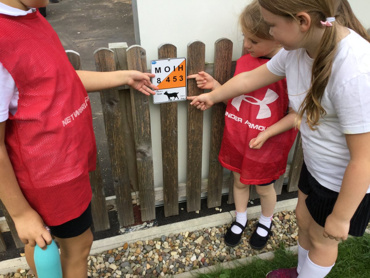 Sinnington Community Primary School tweet media