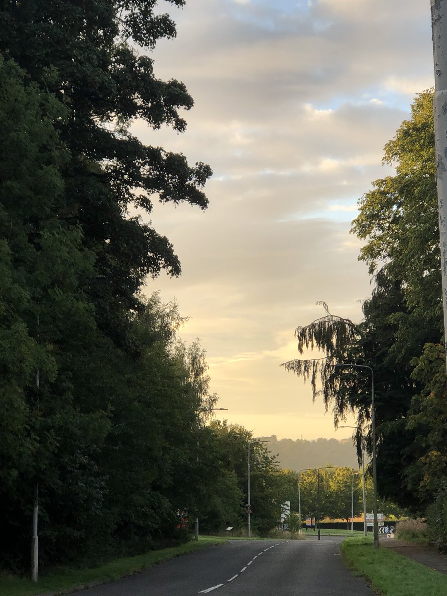 Ruth McLean tweet media