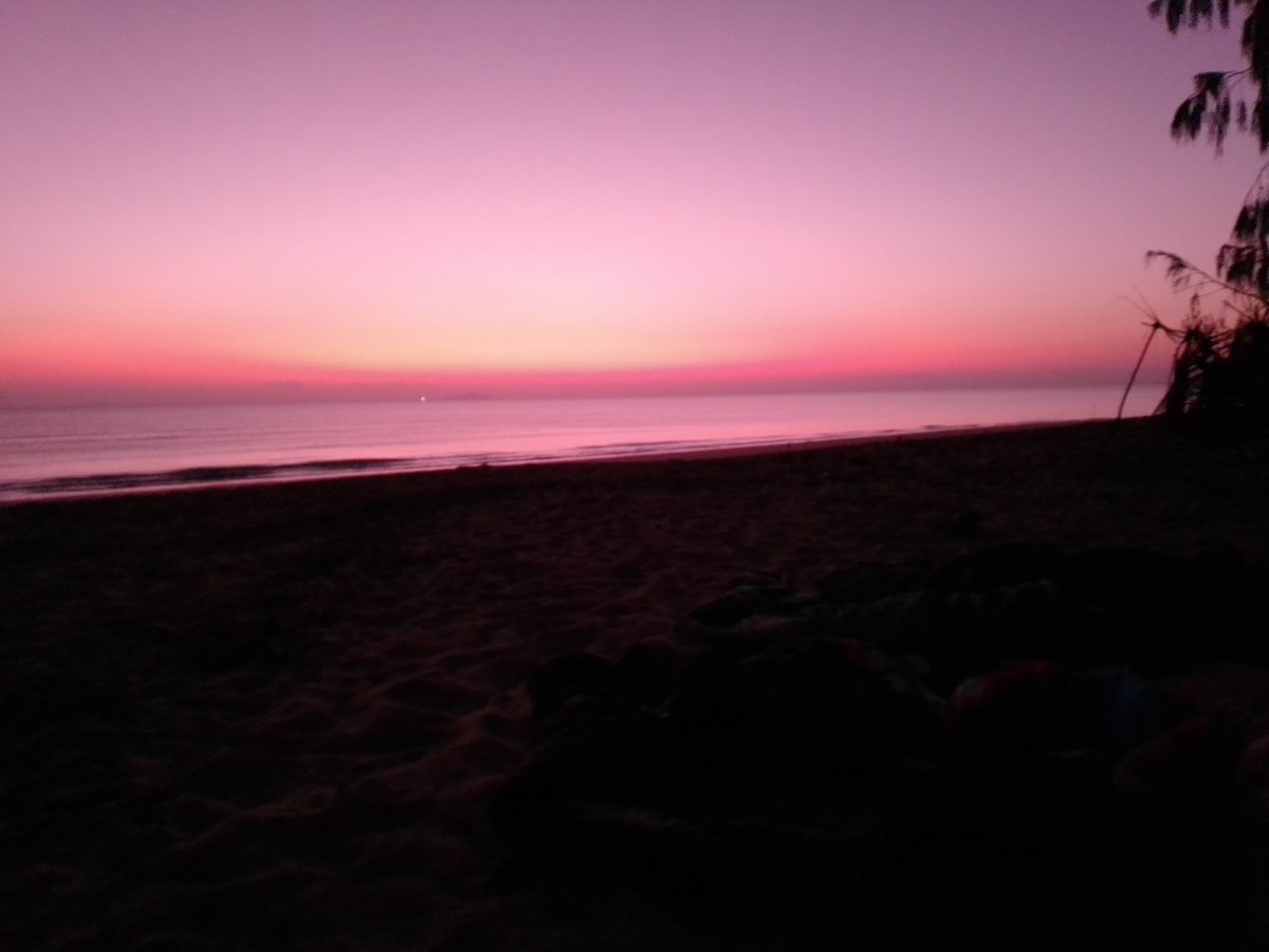 csh_picone - cshpicone.bsky.social tweet media