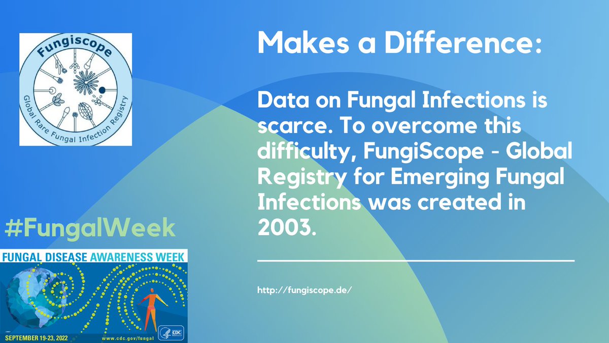 Invasive #fungalinfections #IFI are difficult to diagnose and treat. The FungiScope team around @CornelyOliver @UKKoeln @CECAD_ is improving this situation by offering a global registry for fungal infections: fungiscope.de #FungalWeek #ThinkFungus