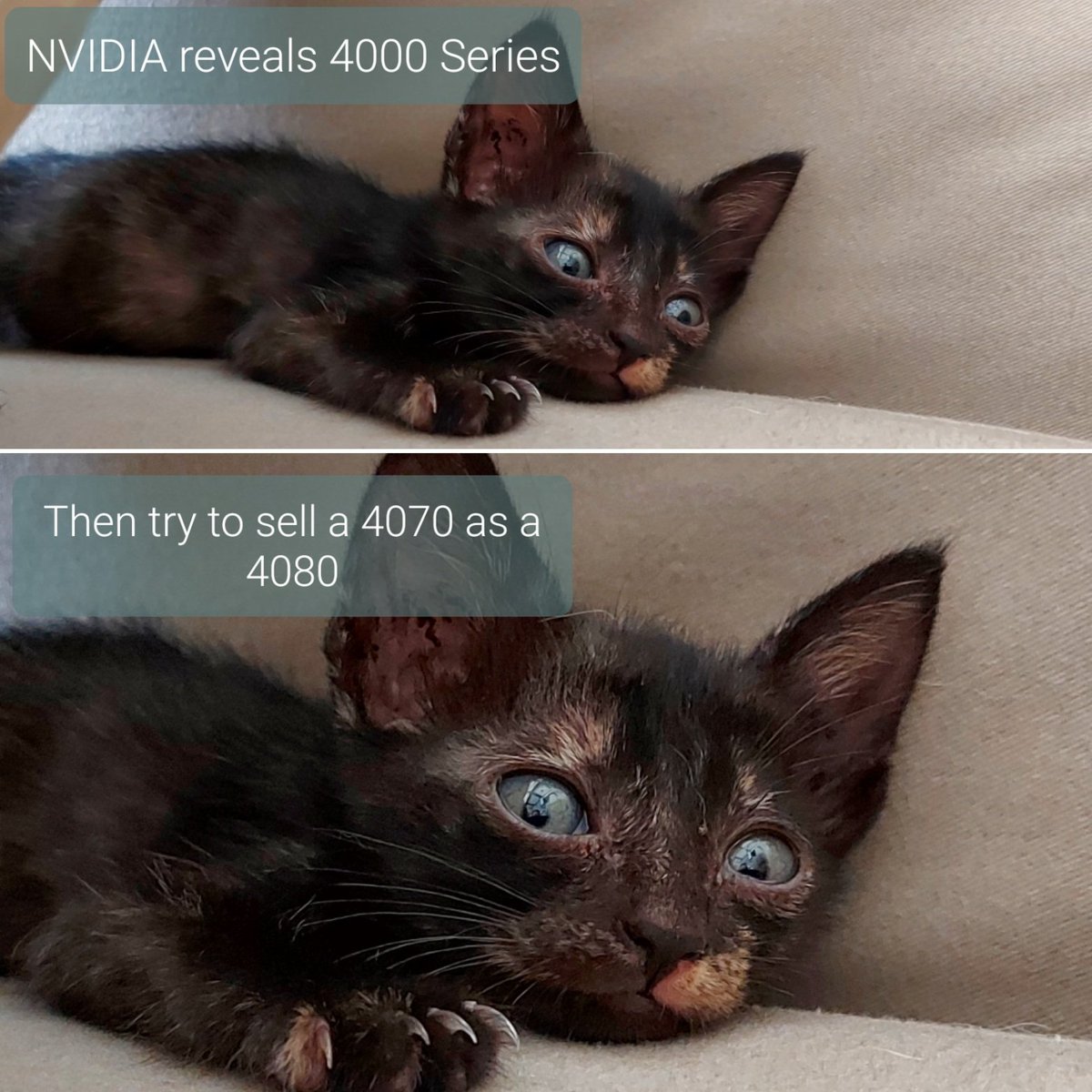 WanGoji's tweet photo. Bro... 
#NVIDIA #GPU #PCGamer #PCgaming https://t.co/F0FVTLgpEn