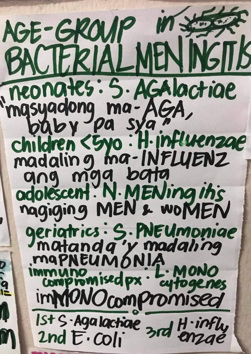 medtechlyfe's tweet photo. BACTERIAL MENINGITIS CAUSATIVE AGENTS ACCORDING TO DIFFERENT AGE GROUPS 🦠📌 #RMTinthemaking #MTLE2023 #Microbiology #MedtechLife 🧑‍🔬💟

*check my profile and don't forget to follow me for more  #MedTechNotes and MT life updates! Hihi ☺️ https://t.co/rFkrxDB8MR