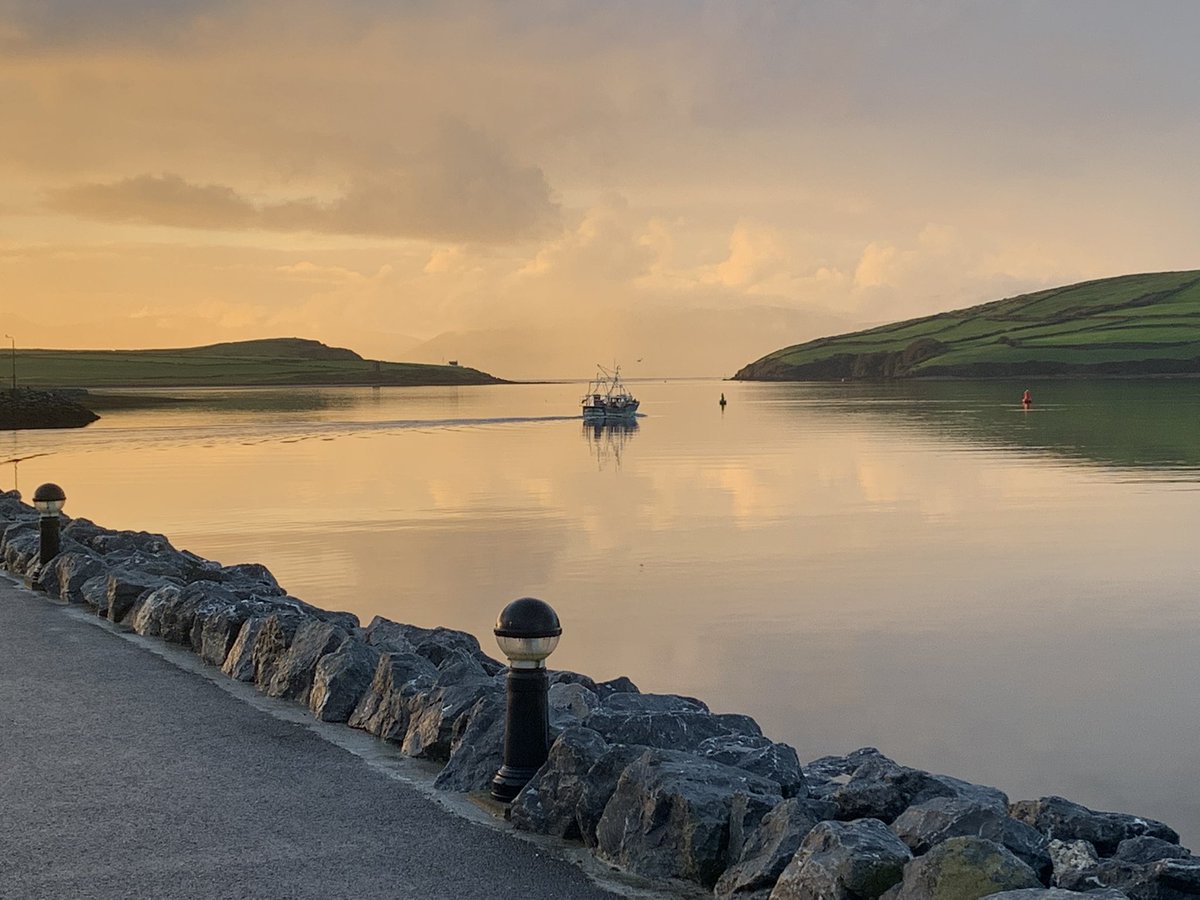 Fallon Moore tweet media