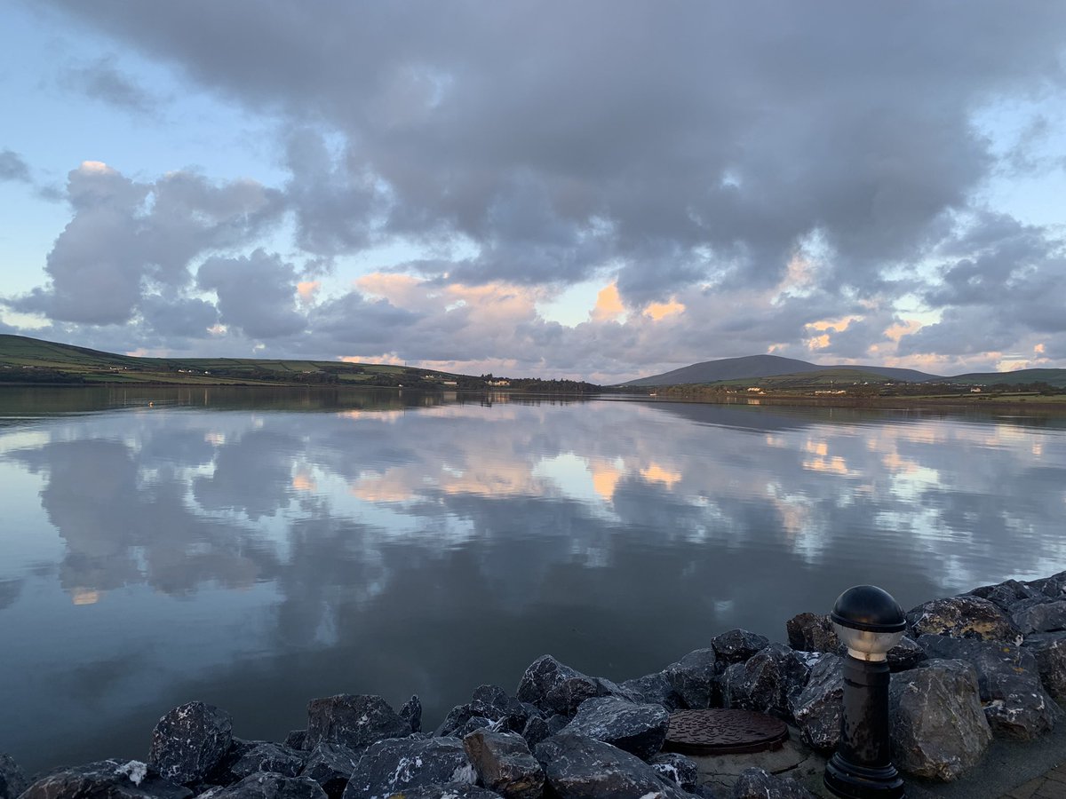 Fallon Moore tweet media