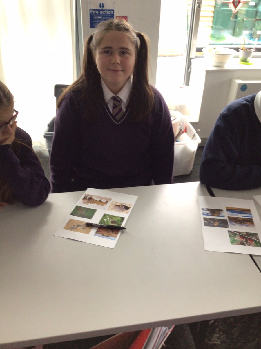 TirMorfa's tweet photo. Famau was studying different habitats and relating their findings to how different animals have adapted to their environments #ytmfamau #ytmscitech #ytmACL https://t.co/IvwrhabmwC