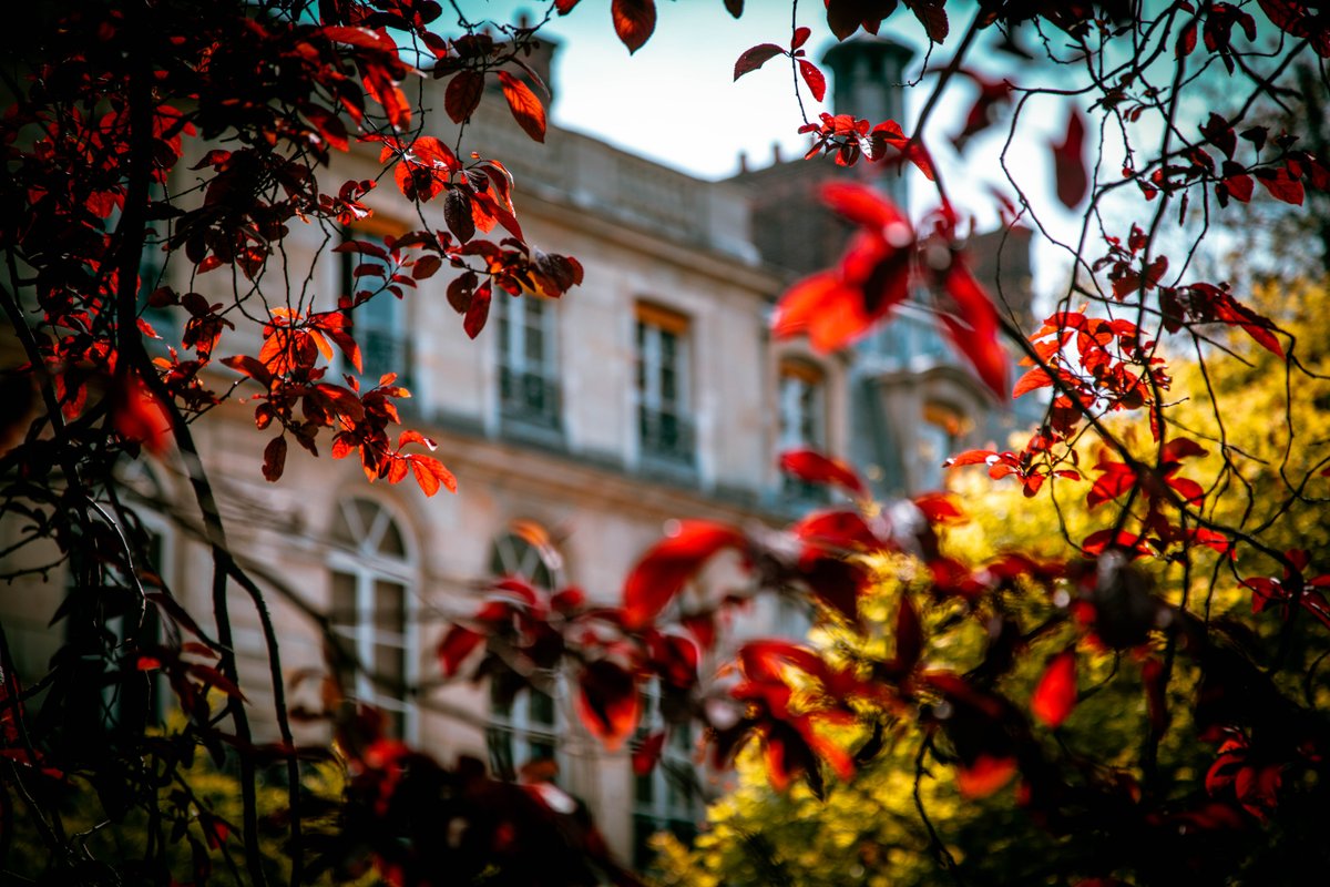 Couleurs d' #automne à la Mine 🍁🍂