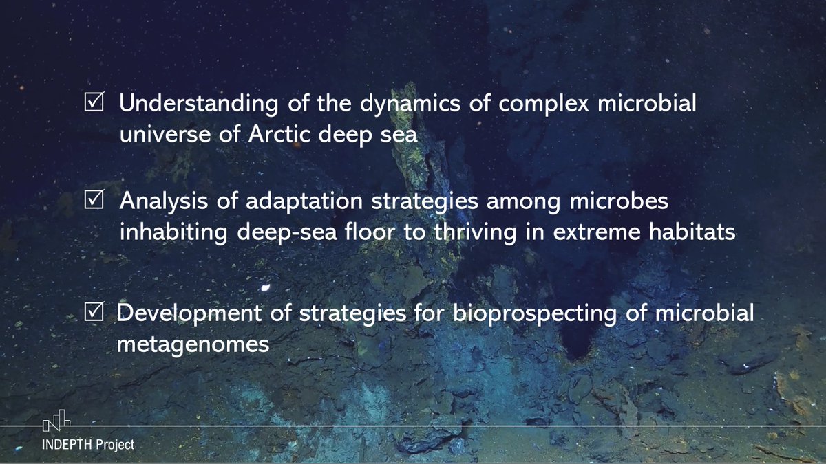 Project_INDEPTH's tweet image. 