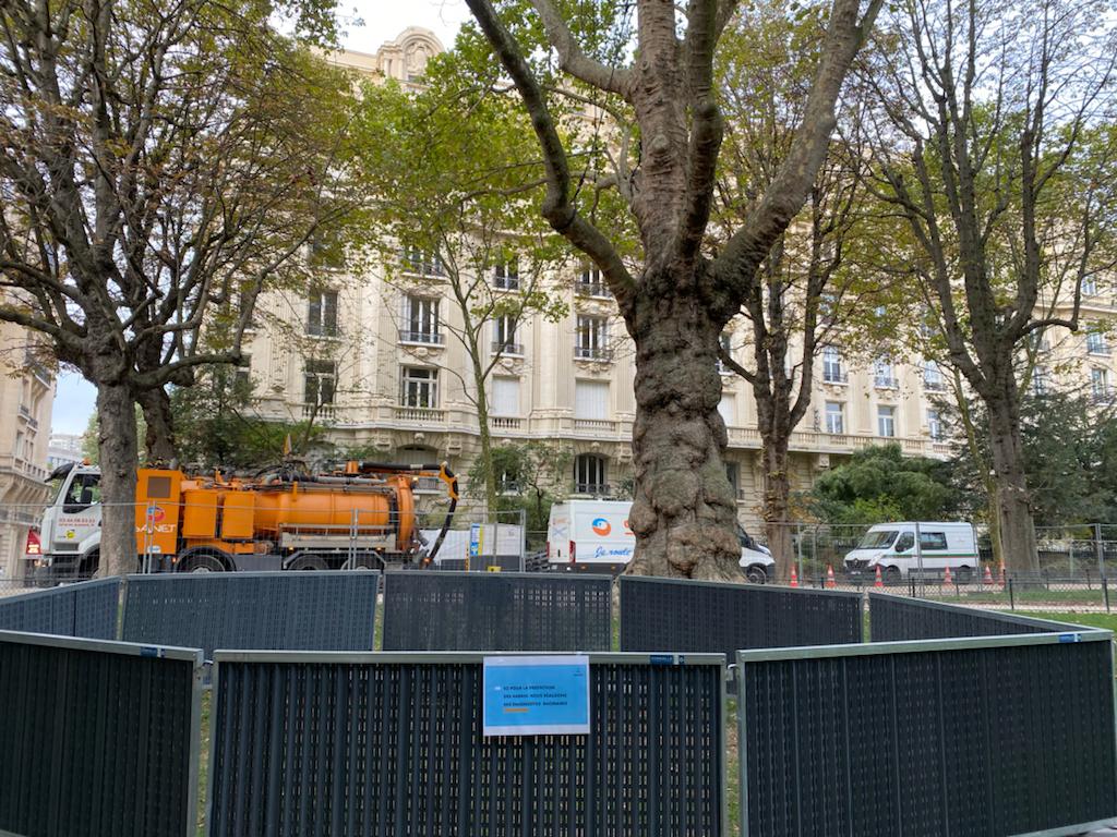 🆘Incompréhension!Pourquoi la Mairie de <a href="/Paris/">Paris</a> réalise t-elle un diagnostic racinaire du platane bicentenaire puisqu'elle s'est engagée à ne pas faire les travaux au #ChampDeMars ?<a href="/BrailThomas/">Thomas Brail</a> donne rdv sur place lundi à 9h à <a href="/egregoire/">Emmanuel Grégoire</a> et <a href="/C_Najdovski/">Christophe Najdovski</a> pour échanger.<a href="/hugoclement/">Hugo Clément</a>