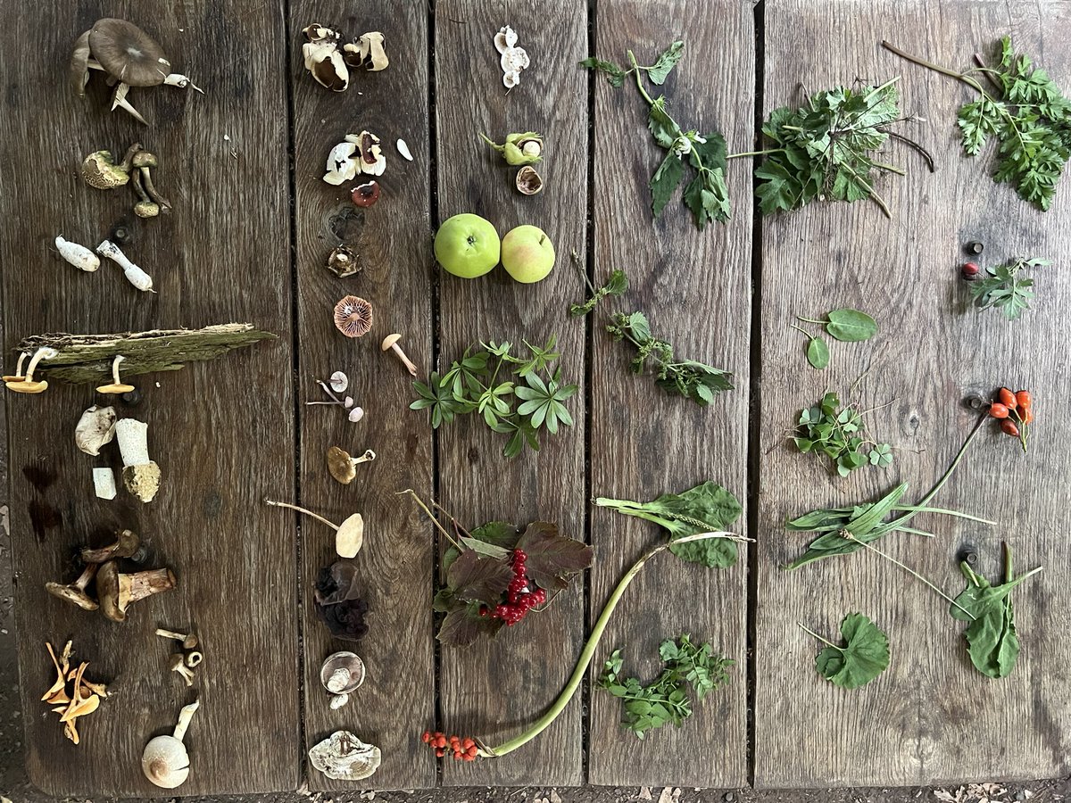 Just some of the finds from yesterday’s One Day Foraging course. Most of the edible mushrooms were cooked and eaten in our risotto.
🍄 
#fungi #mushroom #foray #autumn #autumnal #foraging #wildfood #outdoors #forage #wildflowers #weeds #eatweeds #hedgerow #northYorkshire