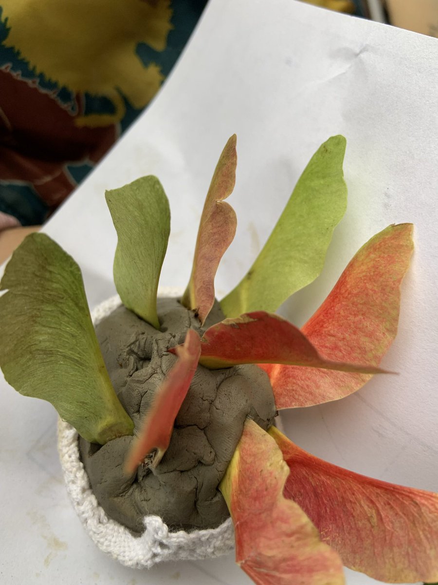 camp_curiosity's tweet photo. Think I might have had the most excitable Yr2 class ever yesterday!! They had a whole day of #outdoorlearning at the amazing @Neston_Primary_ the class were very knowledgable &amp; seemed to love everything we did from big hunting, making necklaces, clay, fire lighting &amp; hot choc. https://t.co/2KBAMIWdtQ