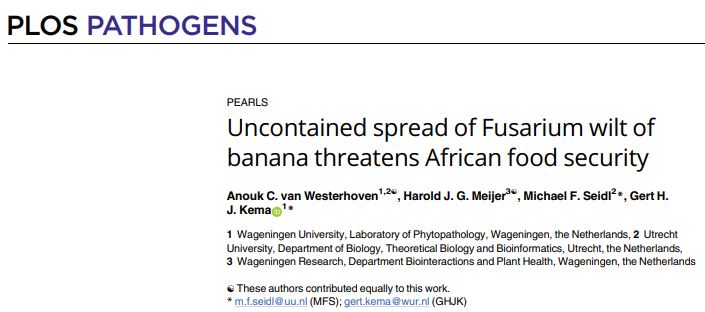 Pleased to see our latest paper <a href="/bananaresearch/">Banana Research</a> has just been published in PLoS Pathogens Pearls on the global advance of TR4 and its threat to Africa's food security. tinyurl.com/yc446s47 <a href="/promusa_banana/">ProMusa</a> <a href="/FAOwbf/">World Banana Forum</a> <a href="/WUR/">Wageningen U&R</a> <a href="/thebananafilm/">Bananageddon</a> <a href="/BananaLink/">Banana Link</a> <a href="/MFSeidl/">Michael F Seidl</a>