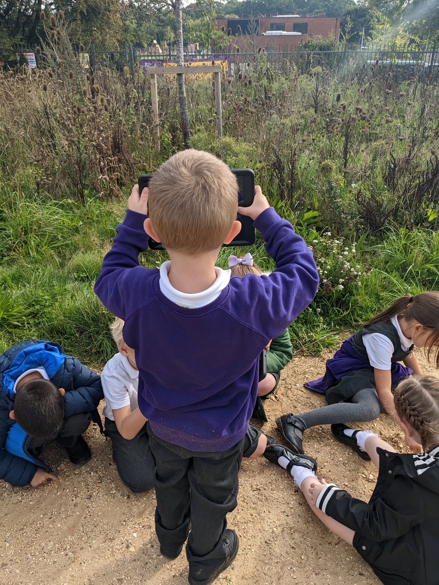 StonehamAcademy's tweet photo. Year 1 had their first introduction to fieldwork skills. We also weaved in our science learning by looking for and photographing signs on Autumn. 🍂

Geographers and scientists at Stoneham Park 💜

#ks1 #memorablelearning #geography #science #localwalk #continuousprovision https://t.co/jLFxReesOC