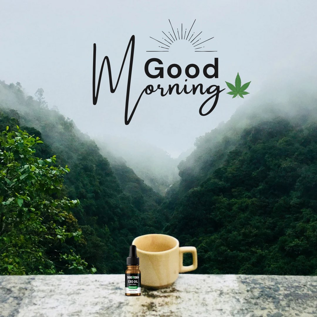 sgg_cbd's tweet image. Happy Friday guys! 

￼Have the best weekend doing what makes you happy! May your weekend be full of love, happiness and adventure ✌🏻

Love the SGG Team 💚
Follow the link below for all your CBD needs 🌱😍sggcbd.co.uk

#cbduk #cbd #cbduser #cbdhealth #cbdproducts